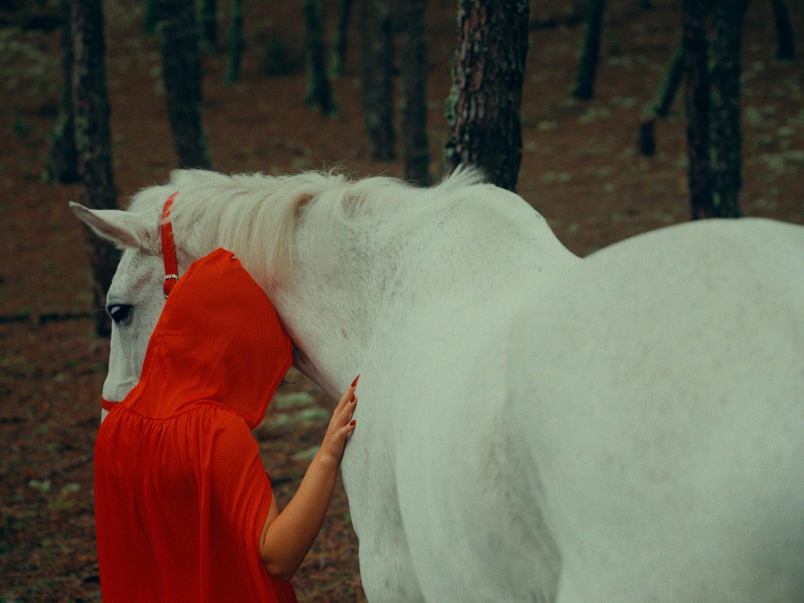 3 scaled 1 Eduardo Robalo