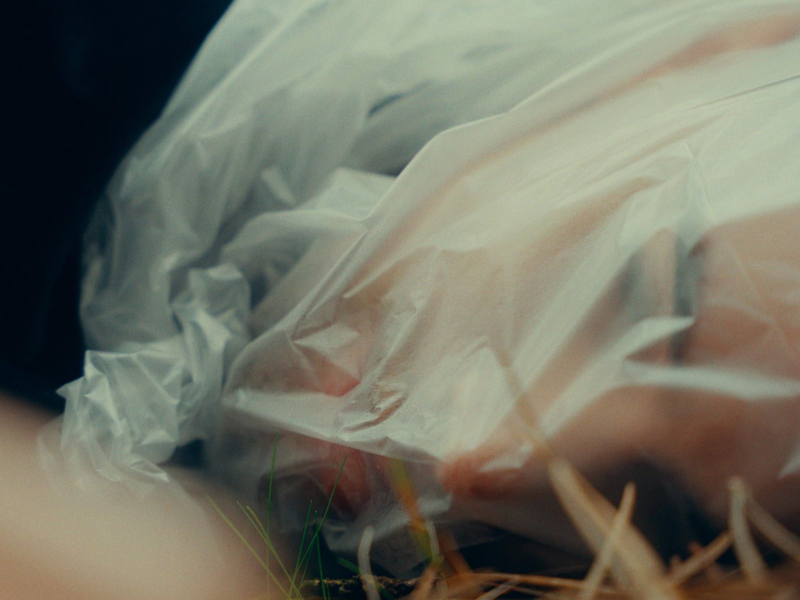 9 scaled 1 Eduardo Robalo