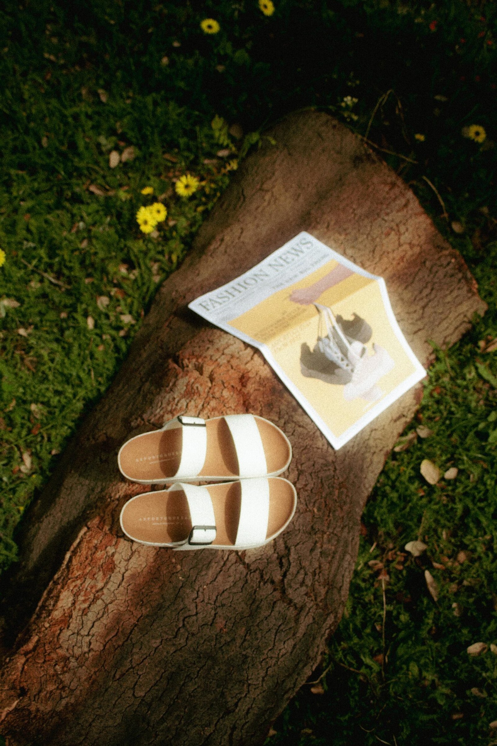 1 scaled Eduardo Robalo