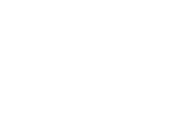 Cartaz com laurels 0062 OFFICIAL SELECTION Fortean Film Festival 2024 2 Eduardo Robalo