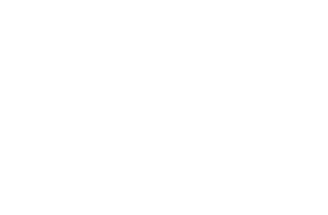 Cartaz com laurels 0065 OFFICIAL SELECTION Bridge Fest 2024 2 Eduardo Robalo