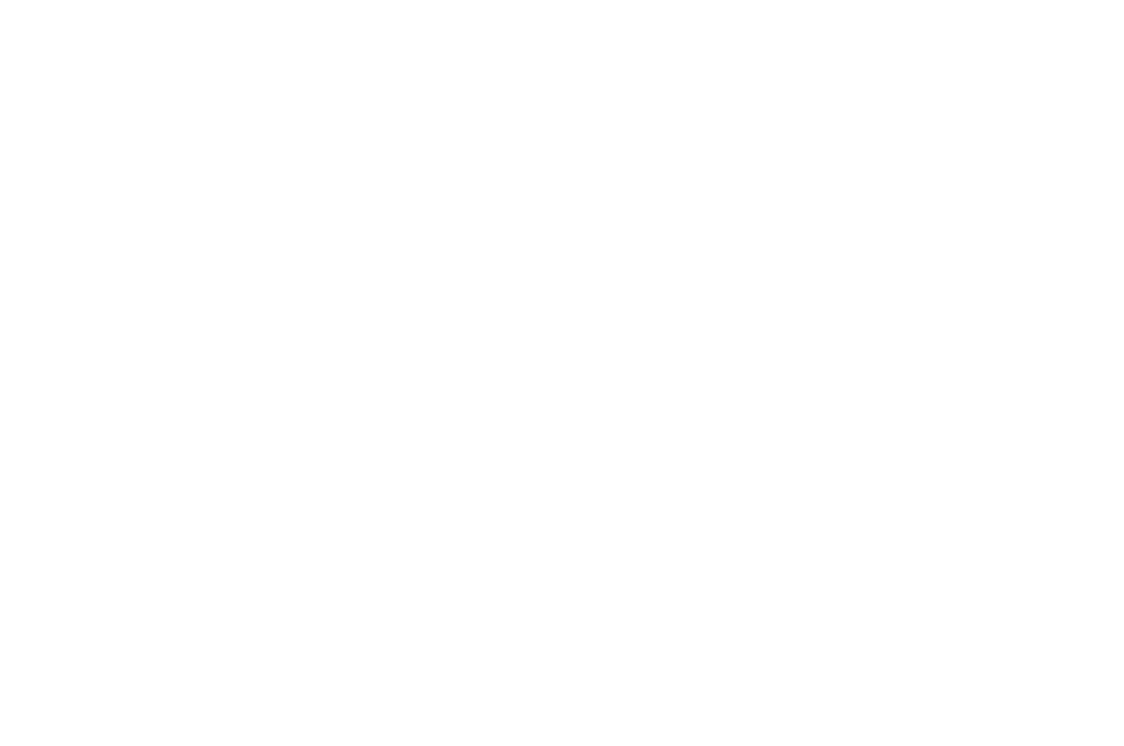OFFICIAL SELECTION iDEAL INTERNATIONAL FILM FESTIVAL 2025 1 Eduardo Robalo