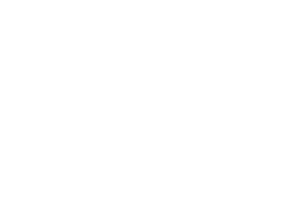 AWARD WINNER MegaFlix Film Awards 2024 2 Eduardo Robalo