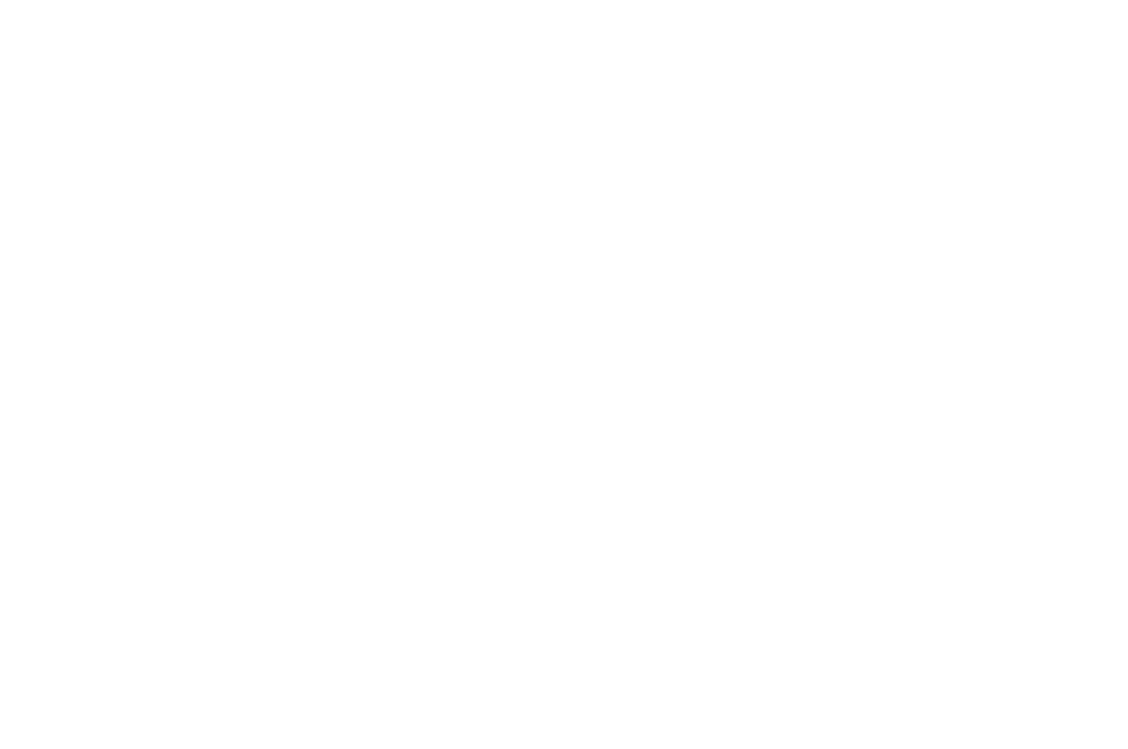 OFFICIAL SELECTION SEOUL EXTREME FILM FESTIVAL 2024 2 Eduardo Robalo