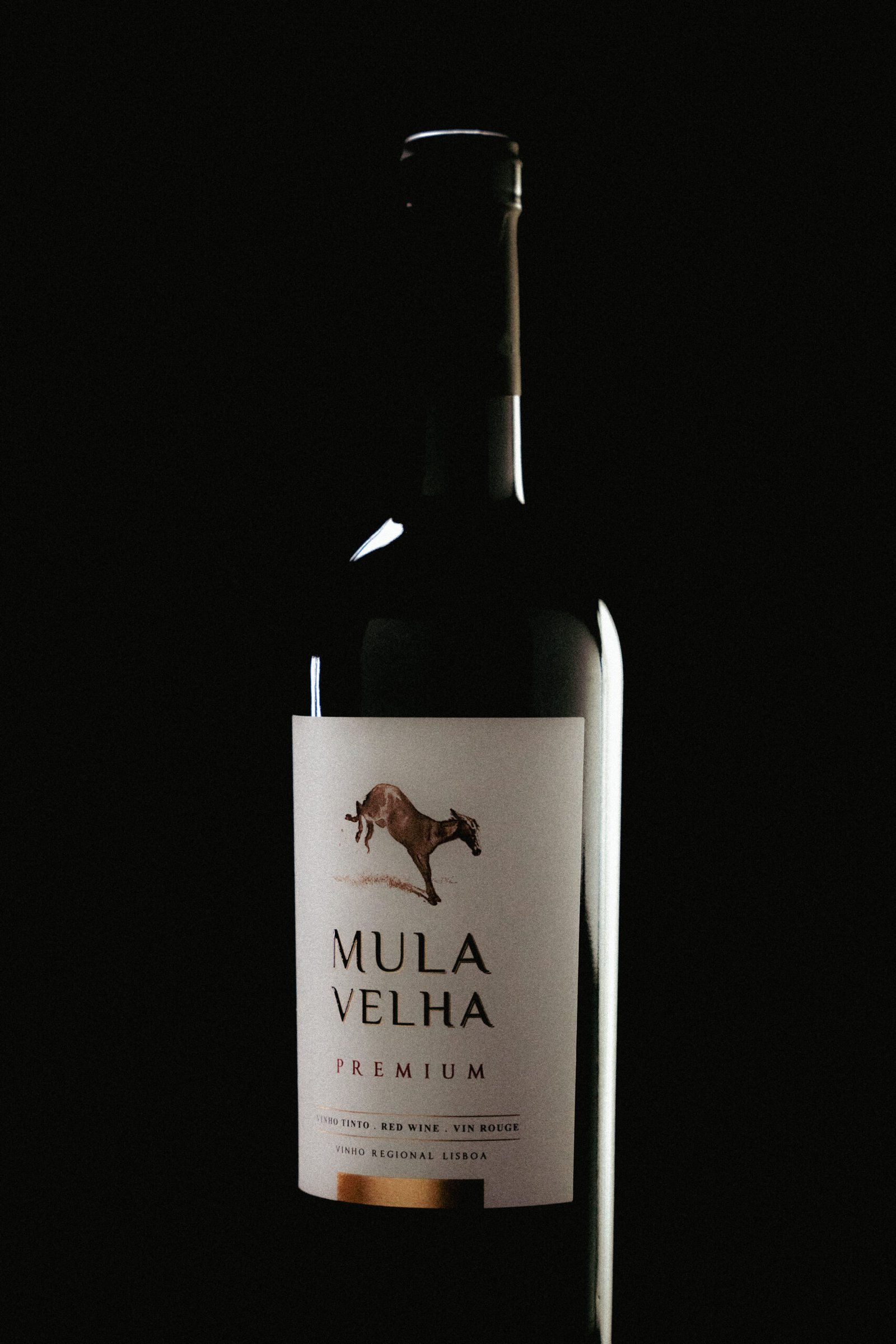 1.1 scaled Eduardo Robalo