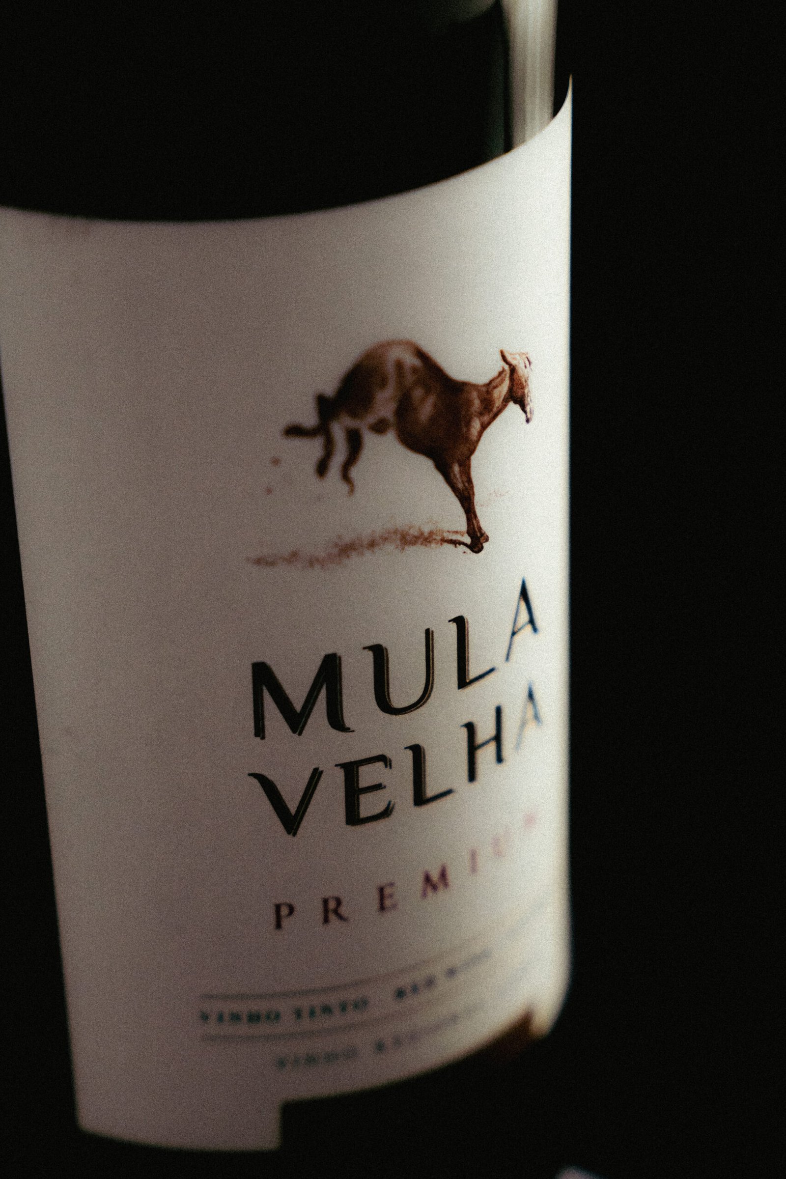 1.2 scaled Eduardo Robalo