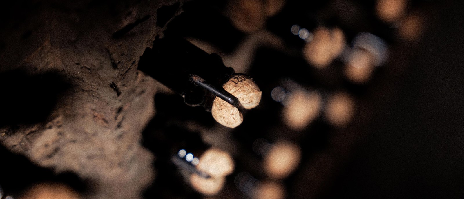 Caves Primavera 4 Eduardo Robalo