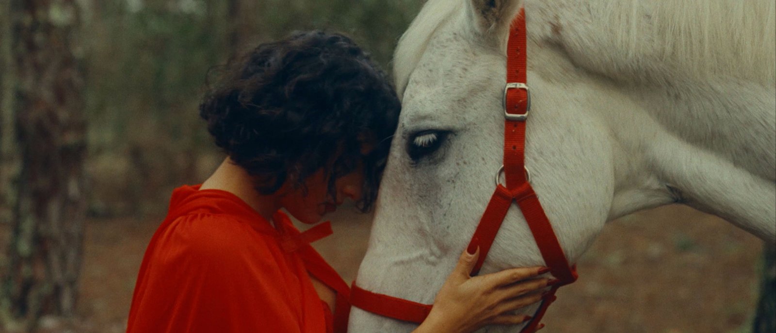 Reviv x Layzen 1 Eduardo Robalo